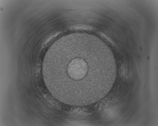 X0000084560824200703091743