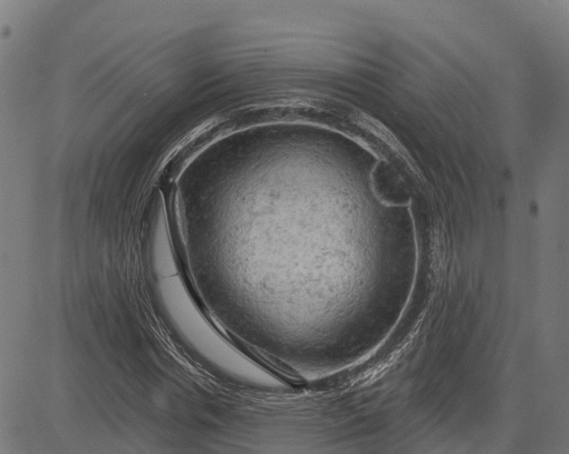 X0000084560826200703091743