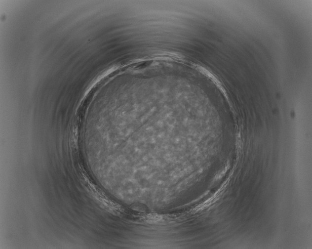 X0000084560827200703091743