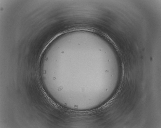 X0000084560828200703091743