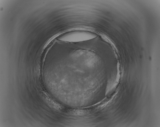 X0000084560829200703091743