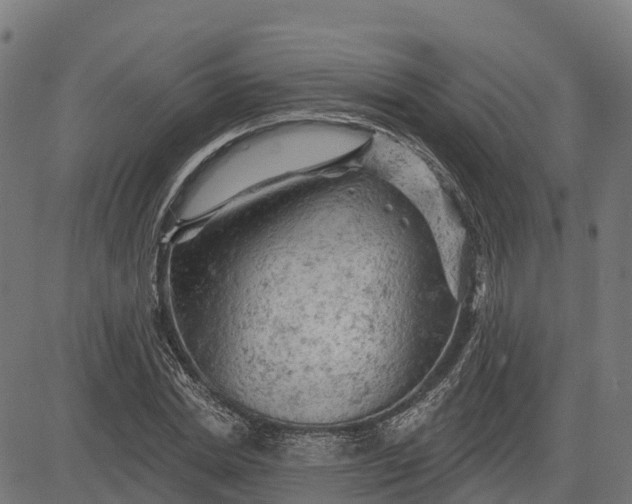 X0000084560830200703091743