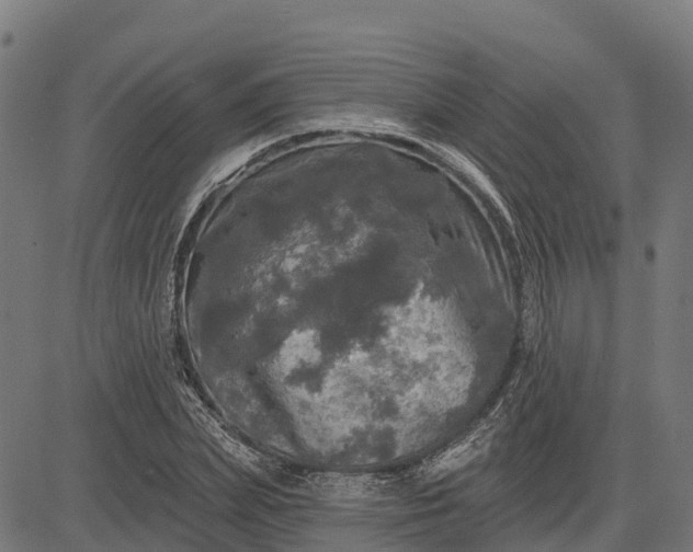 X0000084560831200703091743