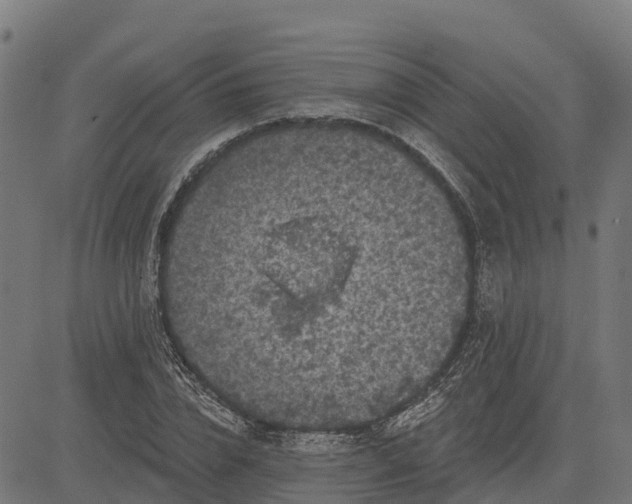 X0000084560832200703091743