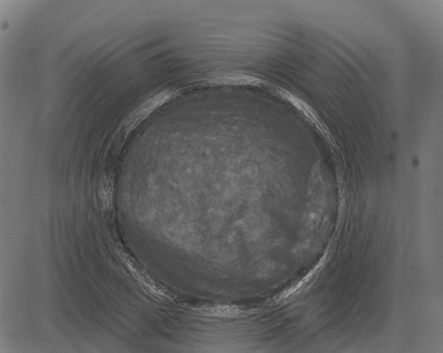 X0000084560833200703091743