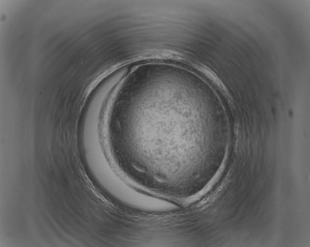 X0000084560834200703091743