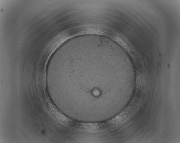 X0000084560836200703091743