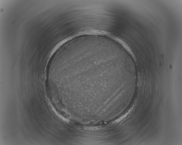 X0000084560837200703091743