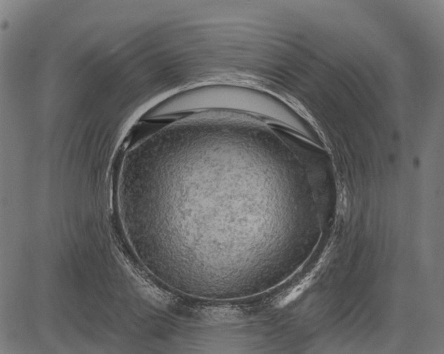 X0000084560838200703091743