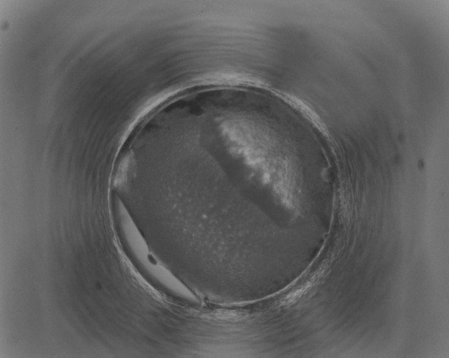 X0000084560839200703091743