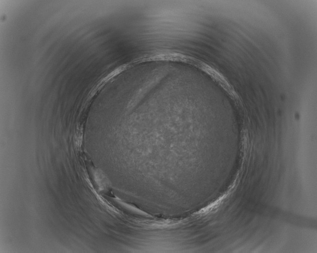 X0000084560841200703091743