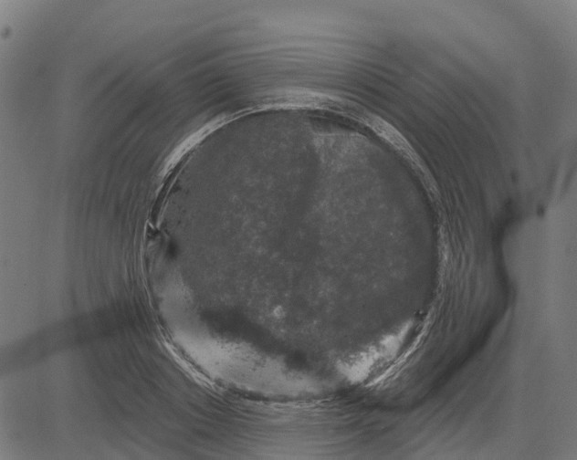 X0000084560842200703091743