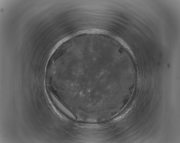 X0000084560845200703091743