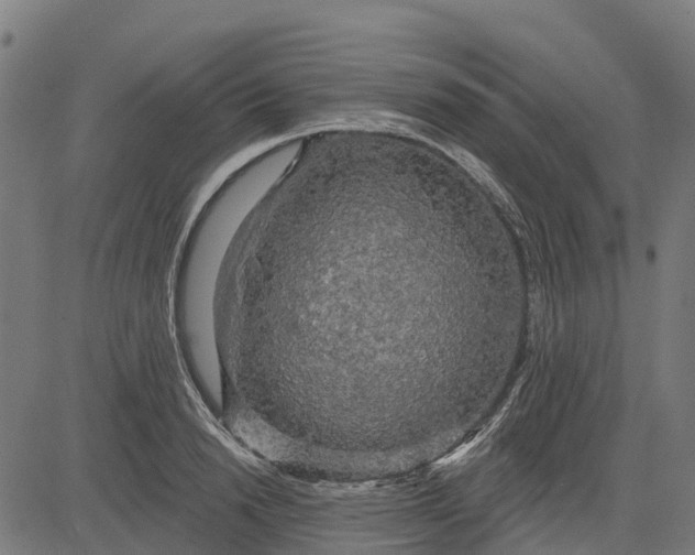 X0000084560846200703091743