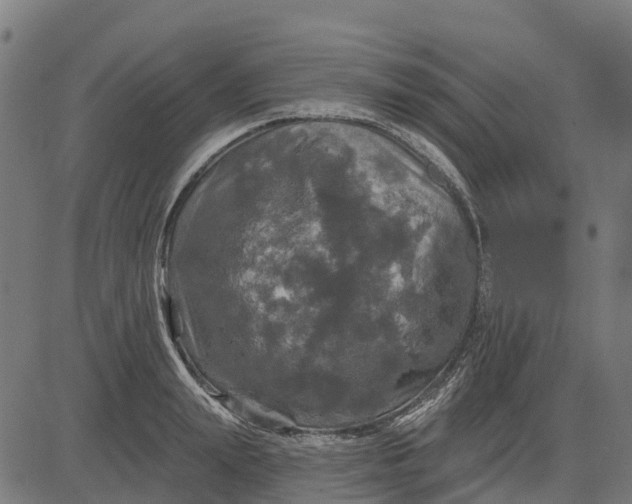 X0000084560847200703091743