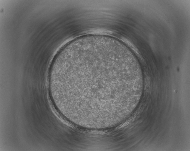 X0000084560848200703091743