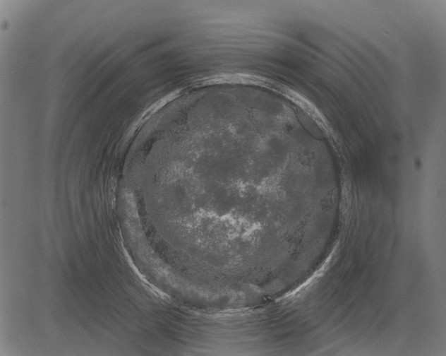 X0000084560849200703091743