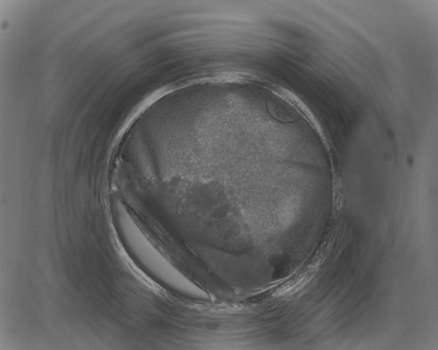 X0000084560851200703091743