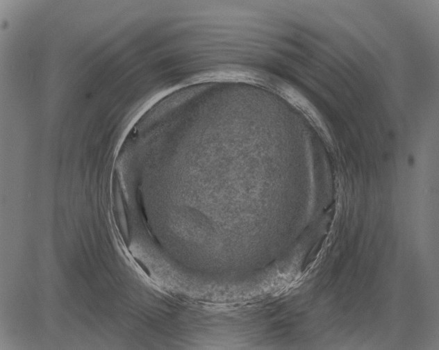 X0000084560852200703091743