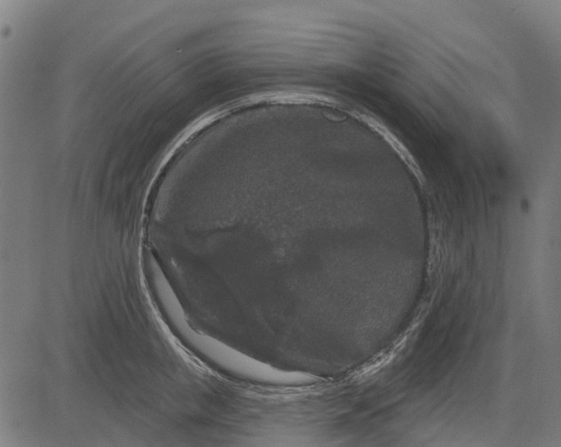 X0000084560853200703091743