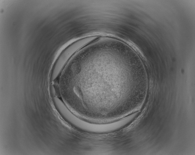 X0000084560854200703091743