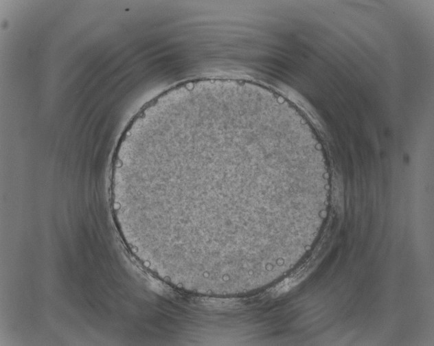 X0000084560856200703091743