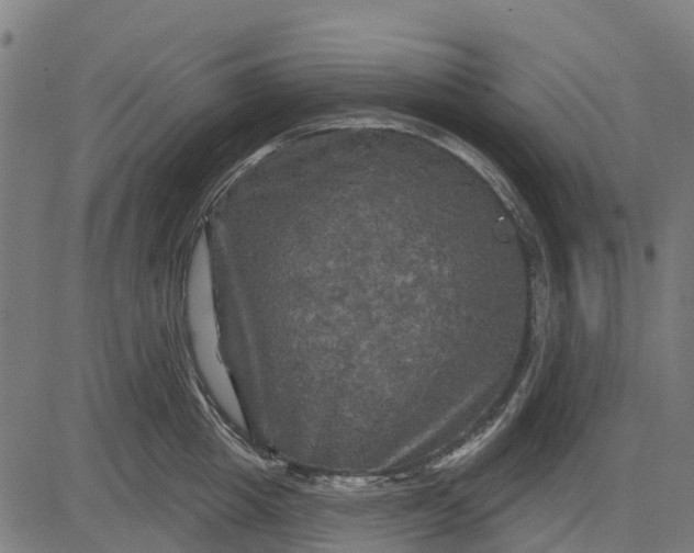 X0000084560857200703091743