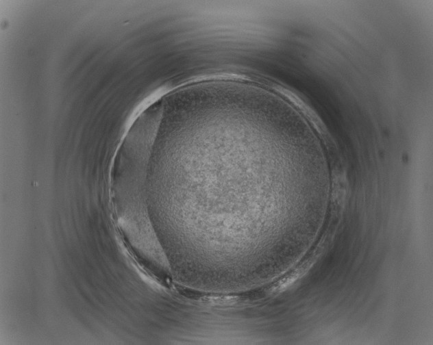 X0000084560858200703091743