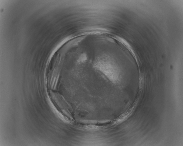 X0000084560859200703091743