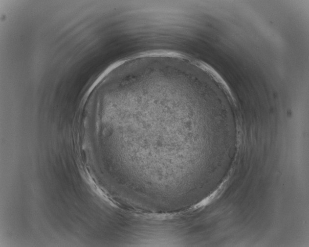 X0000084560860200703091743