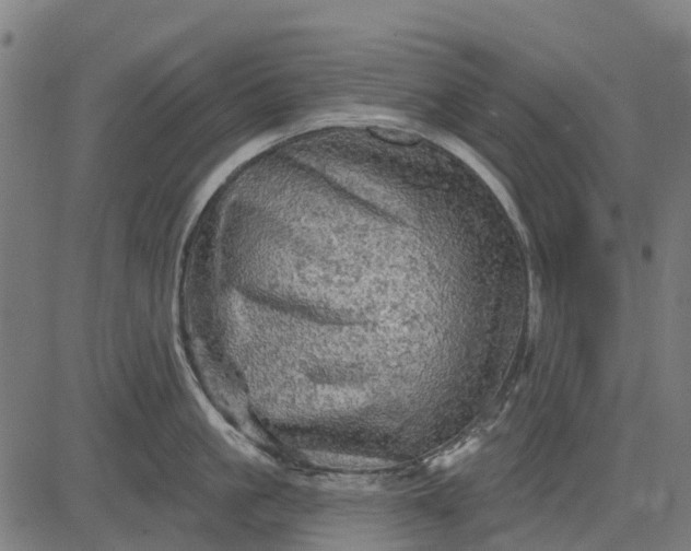 X0000084560861200703091743