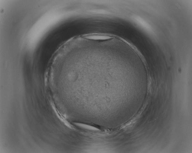 X0000084560862200703091743