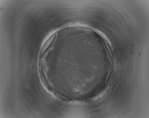 X0000084560863200703091743