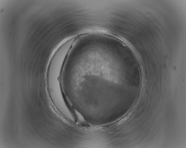 X0000084560864200703091743