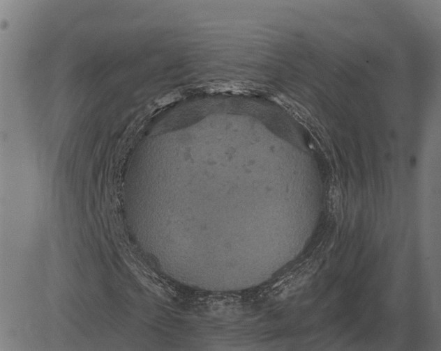 X0000084560865200703091743