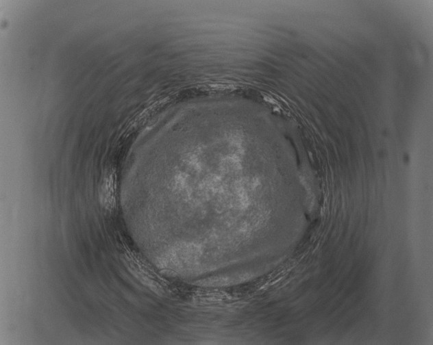 X0000084560866200703091742