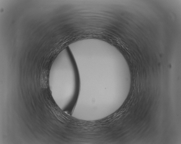 X0000084560868200703091742