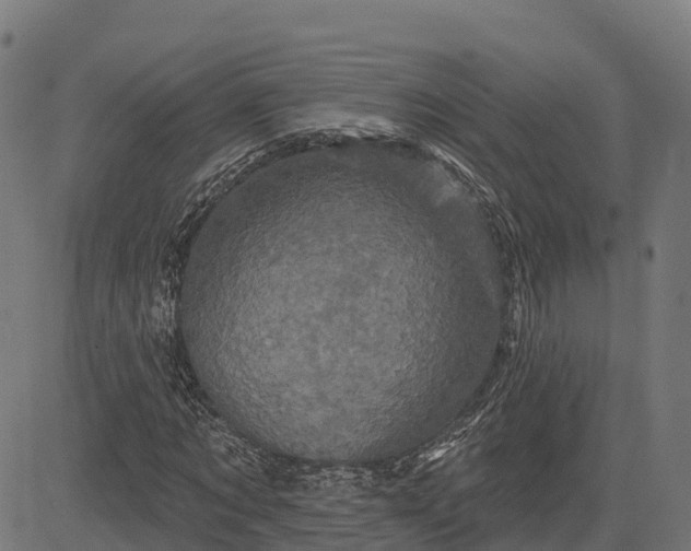 X0000084560869200703091742