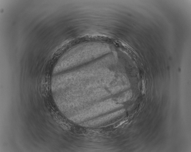 X0000084560870200703091742