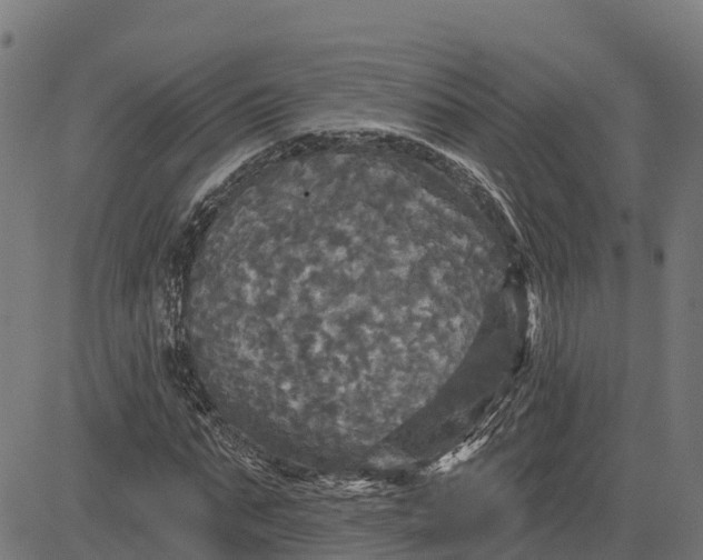 X0000084560871200703091742