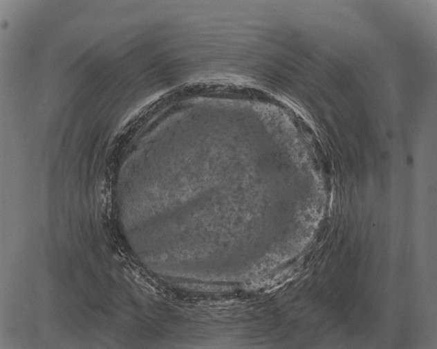 X0000084560872200703091742