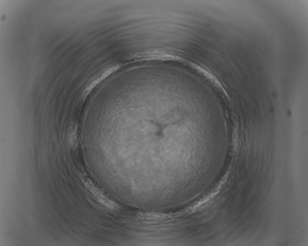 X0000084560873200703091742