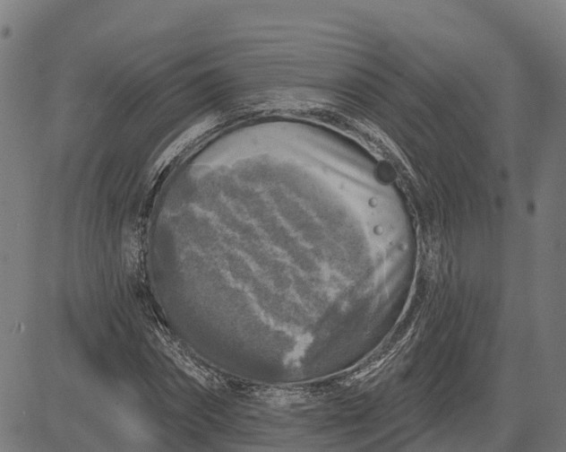 X0000084560874200703091742