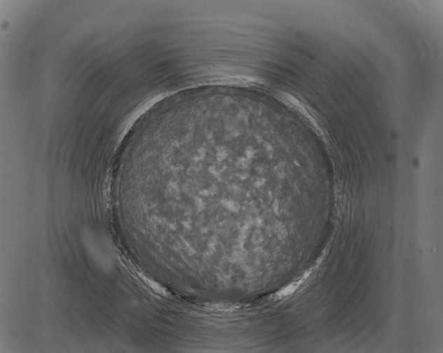 X0000084560875200703091742