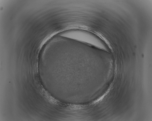 X0000084560877200703091742