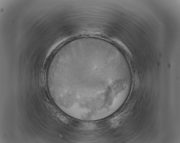 X0000084560878200703091742