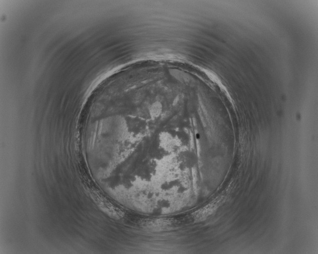 X0000084560879200703091742