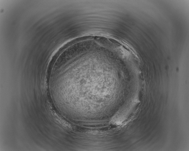 X0000084560880200703091742