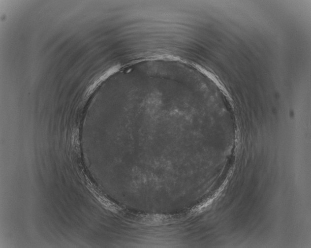 X0000084560881200703091742