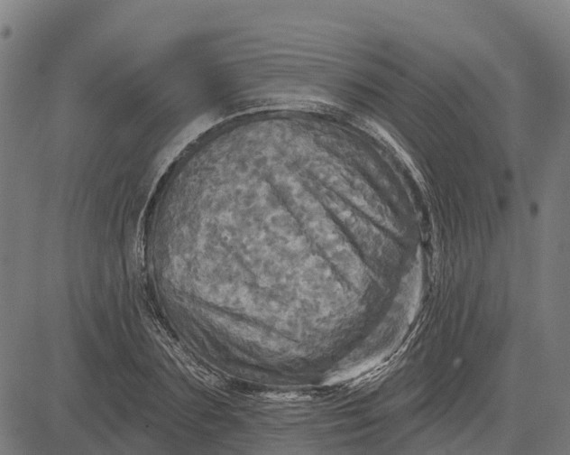 X0000084560883200703091742